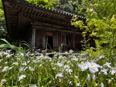富貴寺(大分県)