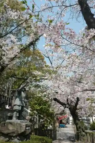 真田山 三光神社の自然