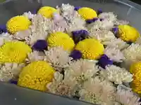 彌彦神社 (伊夜日子神社)の手水舎