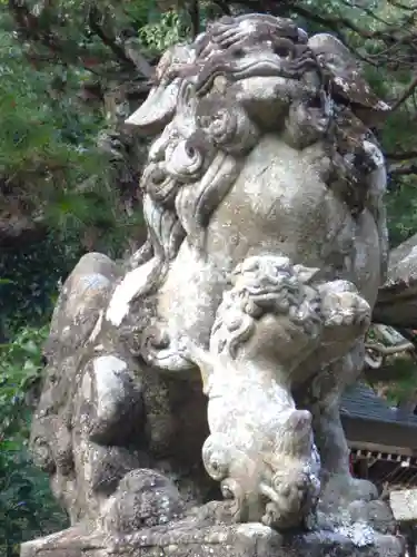 鷺森神社の狛犬