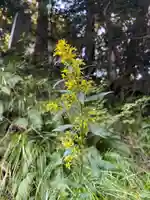 国上寺(新潟県)