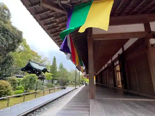  智積院(京都府)