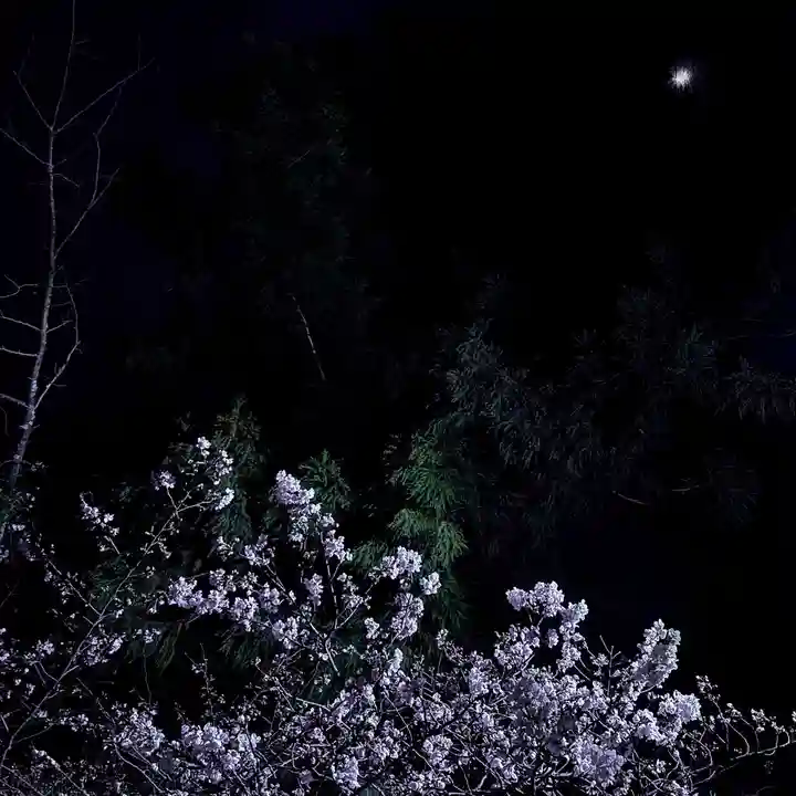 伊勢の国 四天王寺(三重県)