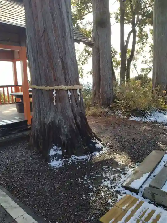 熊野那智神社(宮城県)