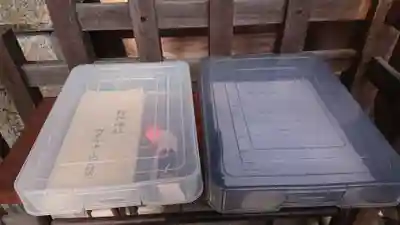 神明社（桜神明社）(愛知県)