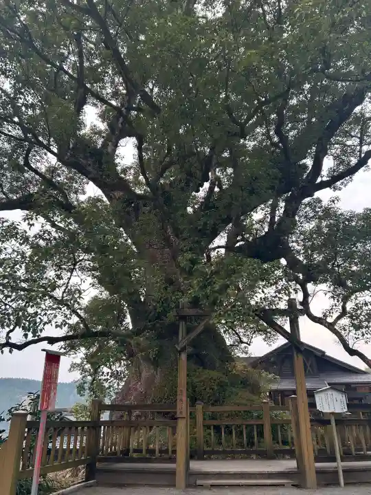 蒲生八幡神社の{uncategorized: "未分類", other: "その他", undefined: "問題あり", building: "その他建物", grave: "お墓", sacred_gate: "鳥居", guardian: "狛犬", statue: "像", buddha: "仏像", history: "歴史", nature: "自然", garden: "庭園", animal: "動物", pagoda: "塔", temizu: "手水舎", mountain_gate: "山門・神門", sanctuary: "本殿・本堂", subordinate: "末社・摂社", art: "芸術", scenery: "景色", jizo: "地蔵", ema: "絵馬", goshuin: "御朱印", omikuji: "おみくじ", items: "授与品その他", amulet: "お守り", goshuincho: "御朱印帳", eats: "食事", festival: "お祭り", votive_dance: "神楽", shichigosan: "七五三参", wedding: "結婚式", experience: "体験その他", initially: "初詣", around: "周辺", anti_infection: "感染症対策"}