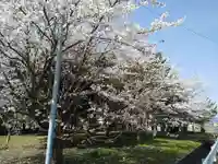 江守神社の自然