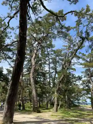 天橋立神社(京都府)