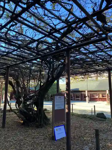 笠間稲荷神社(茨城県)