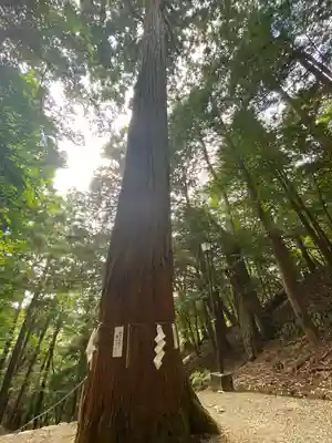 元伊勢内宮 皇大神社(京都府)