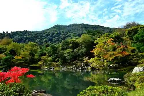 天龍寺の景色