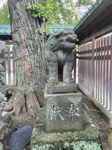 牛嶋神社の狛犬