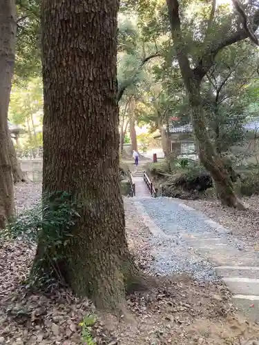 高龗神社(兵庫県)