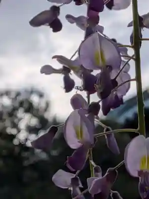 愛染院(東京都)