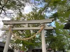 白鳥神社の鳥居