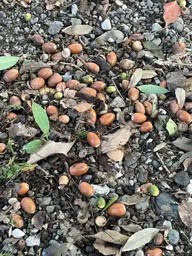 笠䅣稲荷神社(神奈川県)