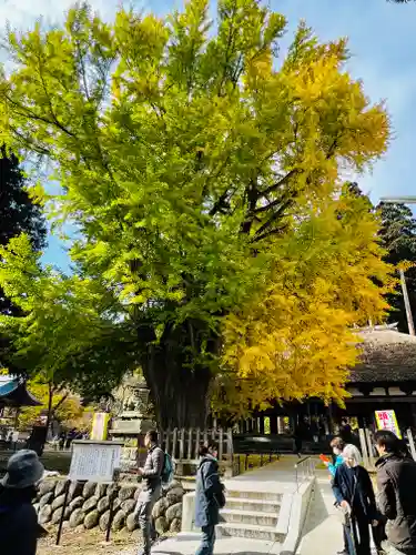 新宮熊野神社(福島県)