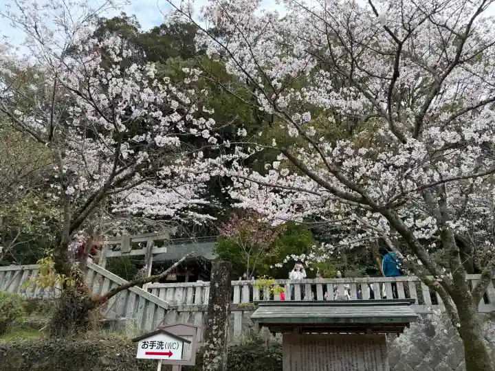 太宰府天満宮の{uncategorized: "未分類", other: "その他", undefined: "問題あり", building: "その他建物", grave: "お墓", sacred_gate: "鳥居", guardian: "狛犬", statue: "像", buddha: "仏像", history: "歴史", nature: "自然", garden: "庭園", animal: "動物", pagoda: "塔", temizu: "手水舎", mountain_gate: "山門・神門", sanctuary: "本殿・本堂", subordinate: "末社・摂社", art: "芸術", scenery: "景色", jizo: "地蔵", ema: "絵馬", goshuin: "御朱印", omikuji: "おみくじ", items: "授与品その他", amulet: "お守り", goshuincho: "御朱印帳", eats: "食事", festival: "お祭り", votive_dance: "神楽", shichigosan: "七五三参", wedding: "結婚式", experience: "体験その他", initially: "初詣", around: "周辺", anti_infection: "感染症対策"}