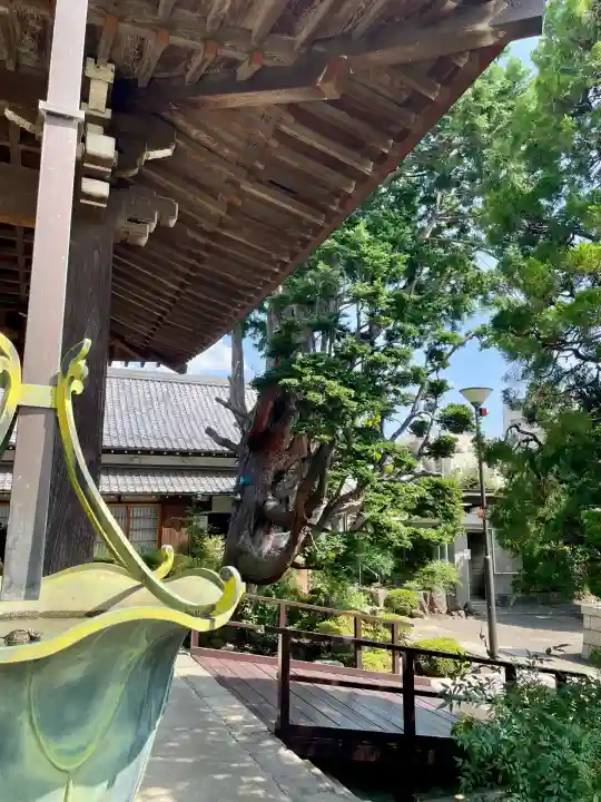 泉沢寺(神奈川県)