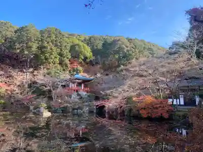 醍醐寺(京都府)