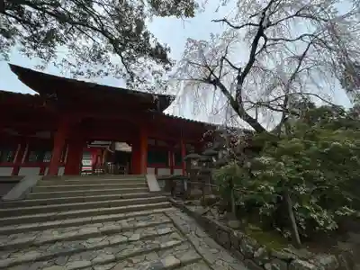 春日大社(奈良県)