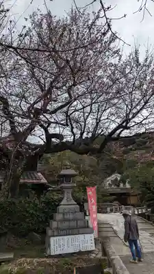 大豊神社(京都府)