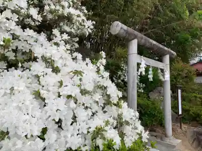 差出磯大嶽山神社 仕事と健康と厄よけの神さまの鳥居