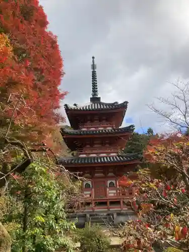 三室戸寺(京都府)