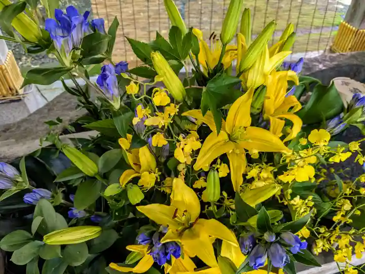 彌彦神社 (伊夜日子神社)の手水舎