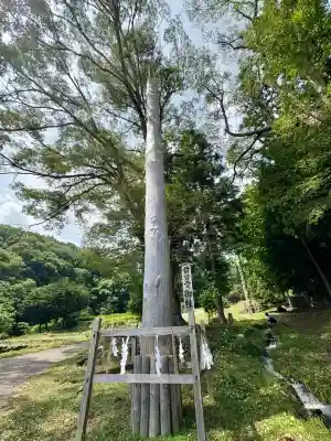 諏訪大社上社前宮(長野県)