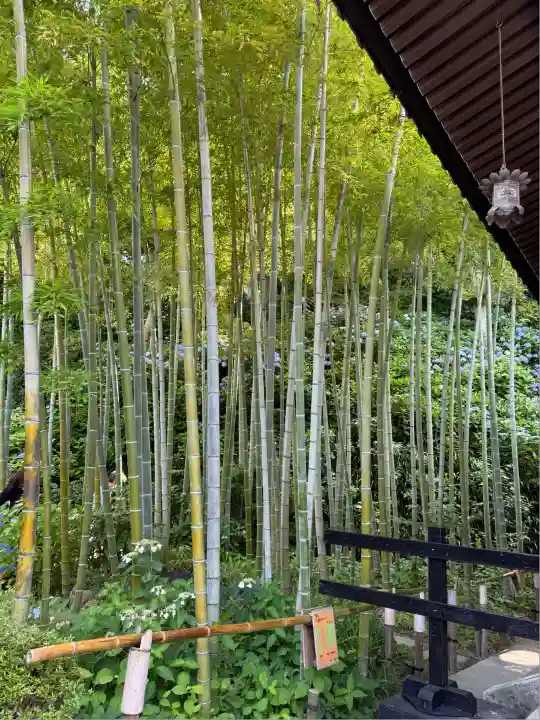 長谷寺(神奈川県)