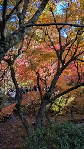 東福禅寺（東福寺）(京都府)