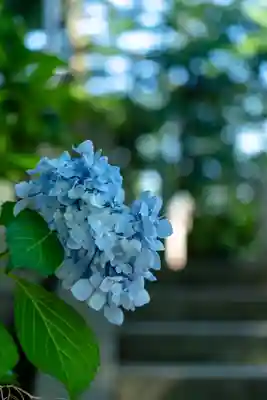 雄山神社前立社壇(富山県)