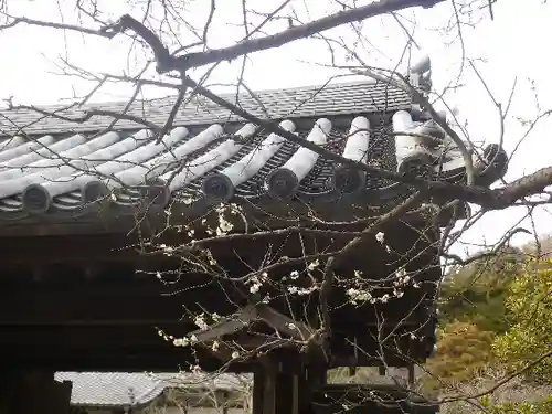 浄光明寺の自然