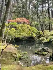 西芳寺の庭園