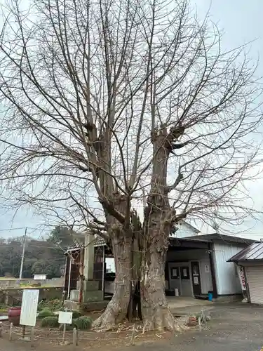 来迎寺(千葉県)