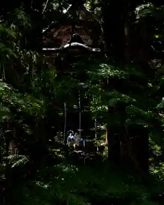 戸隠神社宝光社(長野県)
