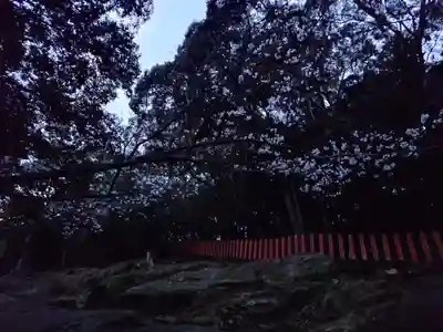 神倉神社（熊野速玉大社摂社）(和歌山県)