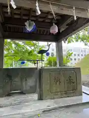 釧路一之宮 厳島神社の手水