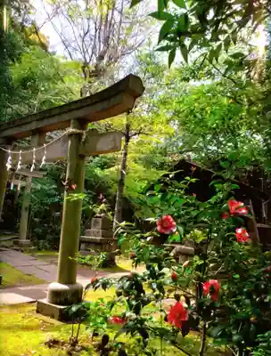 赤坂氷川神社(東京都)
