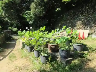 施福寺(大阪府)