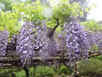 石山寺(滋賀県)
