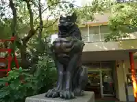 稲毛神社の狛犬