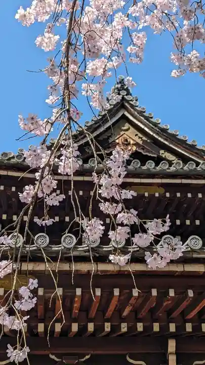 今熊野観音寺(京都府)