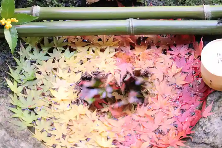 柳谷観音 楊谷寺(京都府)