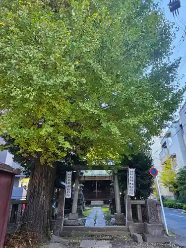 慈恵稲荷神社(埼玉県)