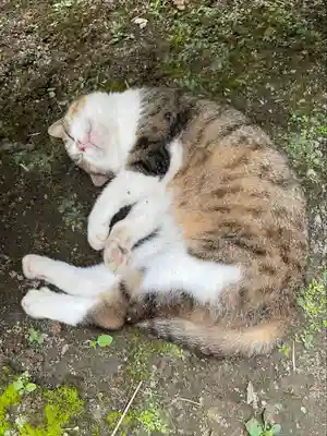 小松寺(千葉県)