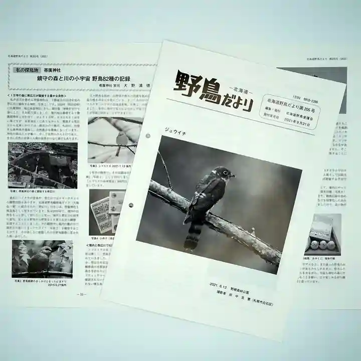 帯廣神社の動物