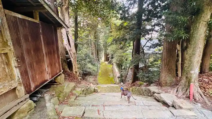前川神社(福井県)