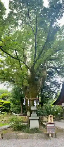 武田神社の末社